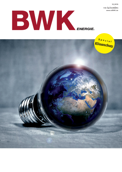 Issue 10 Cover