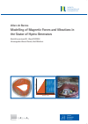 Allan de Barros - Modelling of Magnetic Forces and Vibrations in the Stator of Hydro Generators